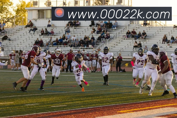尊龙z6发展历程